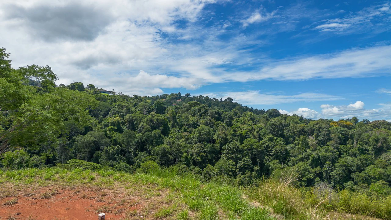 Luxury Ocean View Lot in Piñuelas - Premier Building Site - Gallery image 3