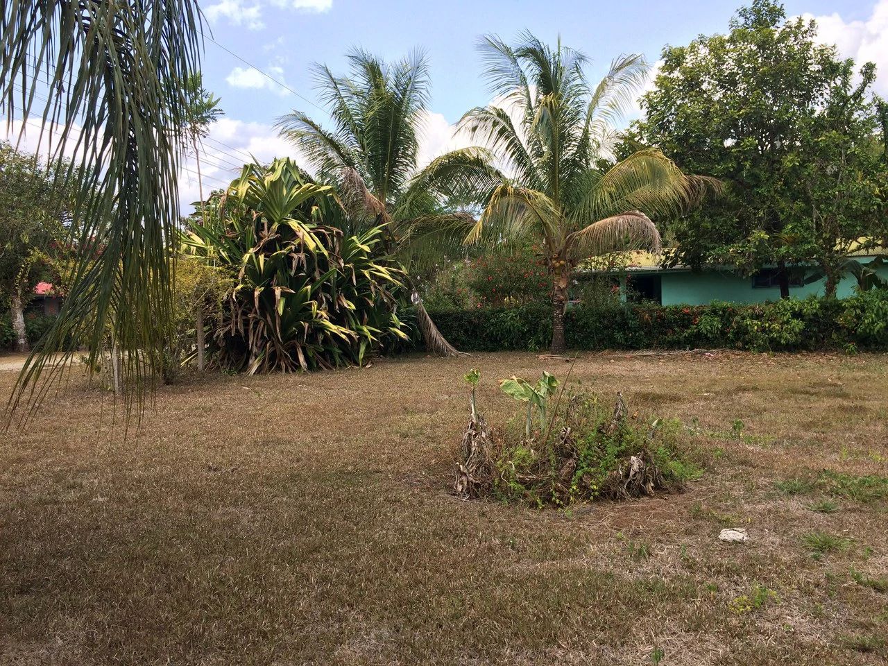 Propiedad grande: Countryside Home Construction Site For Sale in Caño Negro - Gallery image 4