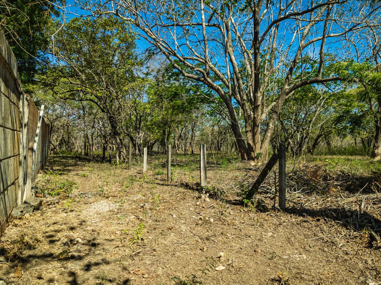 Bosque Escondido: Mixed-Use Lot Steps from Avellanas Beach - Gallery image 13