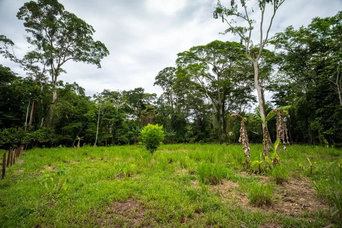 ID 1134: 3960m² Flat Development Lot Near Cahuita, Costa Rica - photo 14