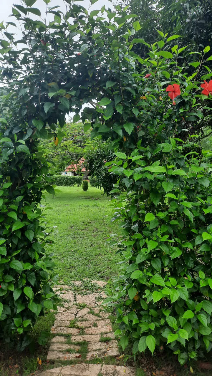 Agricultural Land For Sale in Jacó - Gallery image 8