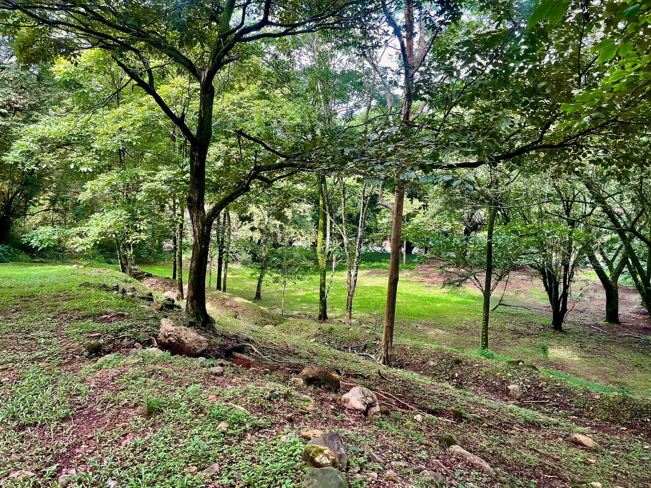 Property for Sale for Tourism Development with River in Orotina Alajuela Costa Rica - Gallery image 14