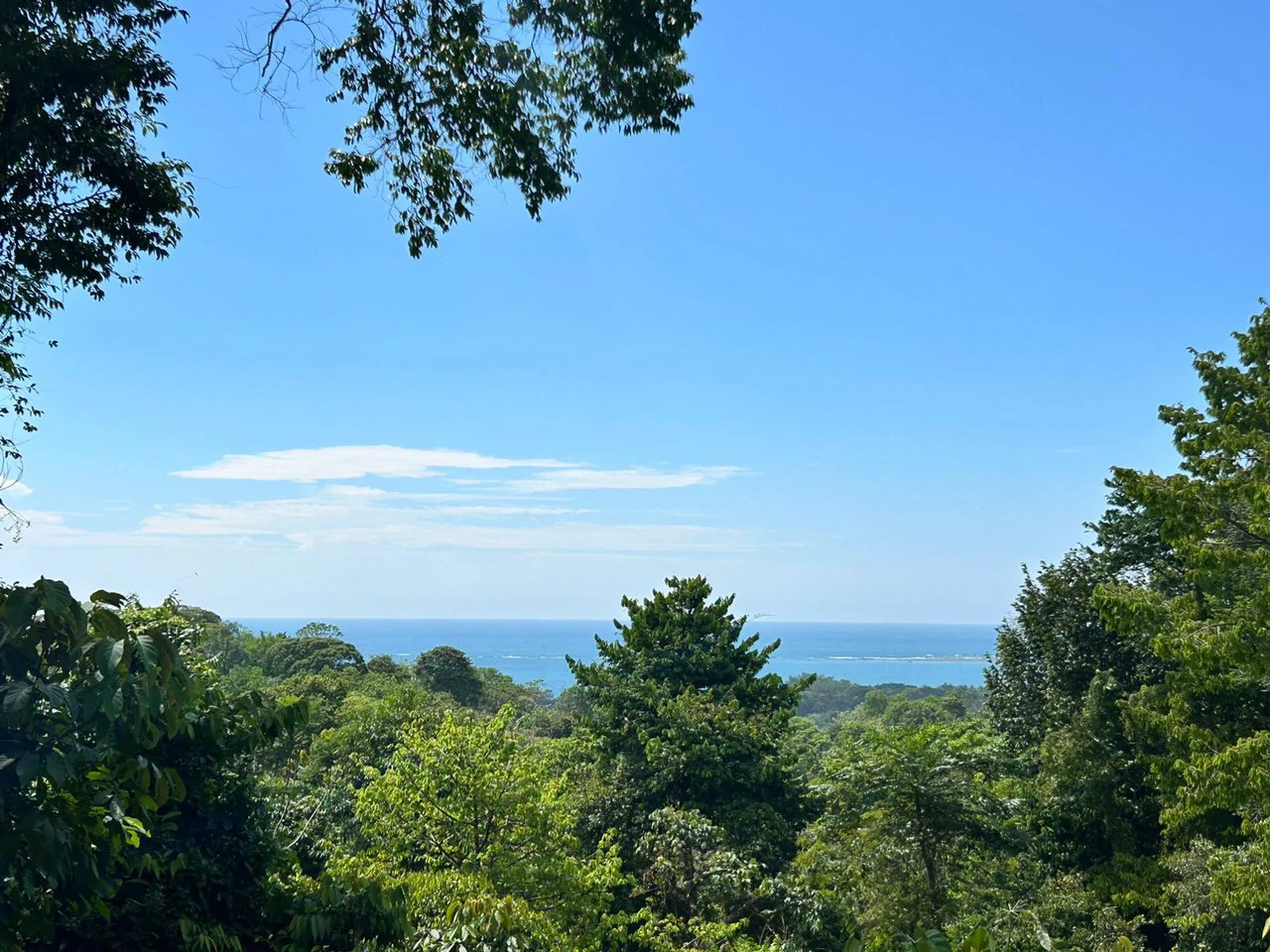 1.7 Acres Ocean View Lot with Producing Cabin in Uvita