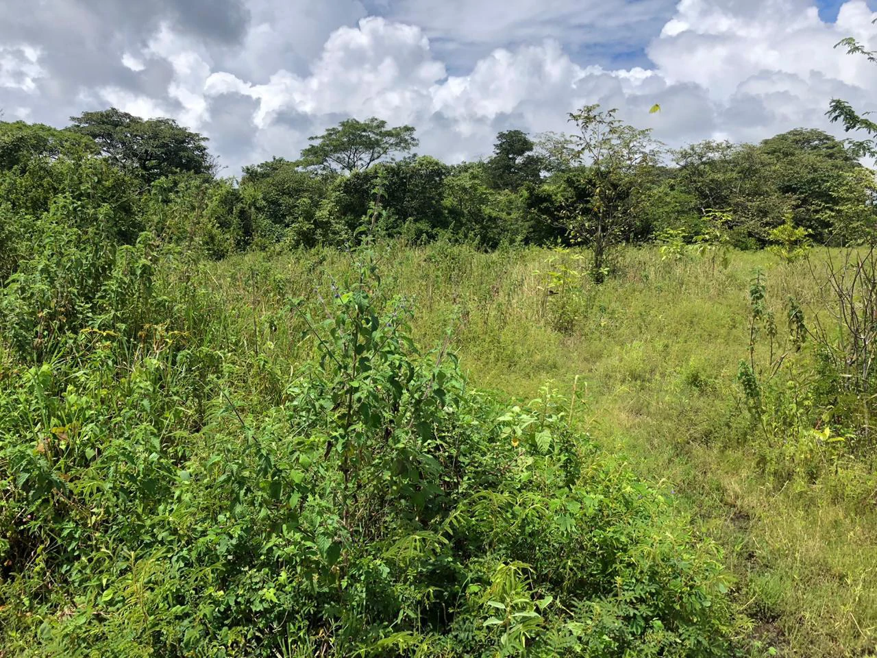 Development property for sale, Building project opportunity close to Liberia Airport and City with beautiful Flat property - Gallery image 6