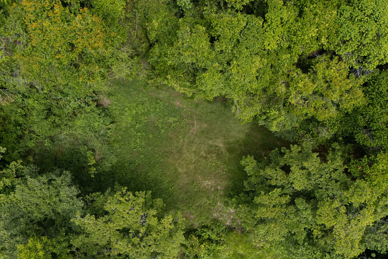 Near the Coast Home Construction Site For Sale in Dominical - Gallery image 5