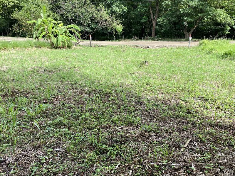 Lote Palmas: Last Affordable Flat Lot in Buena Vista, Just Minutes from Samara Beach - Gallery image 5