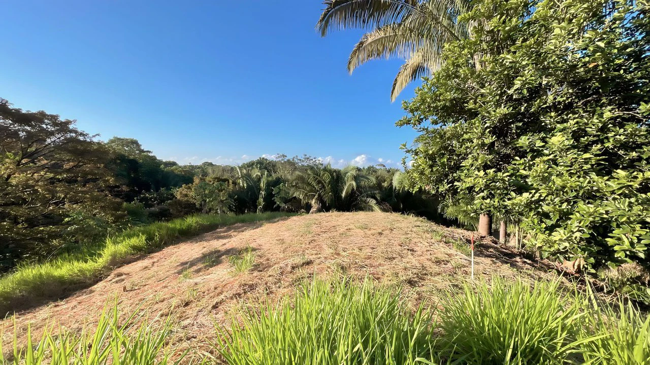 Exclusive Hermosa 1.2 Acre Lot with Panoramic Mountains and Ocean View.