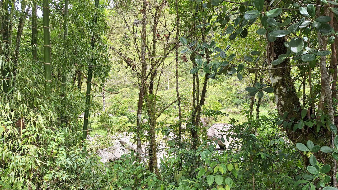 Propiedad en cedral: Mountain Home Construction Site For Sale in Cajón - Gallery image 9