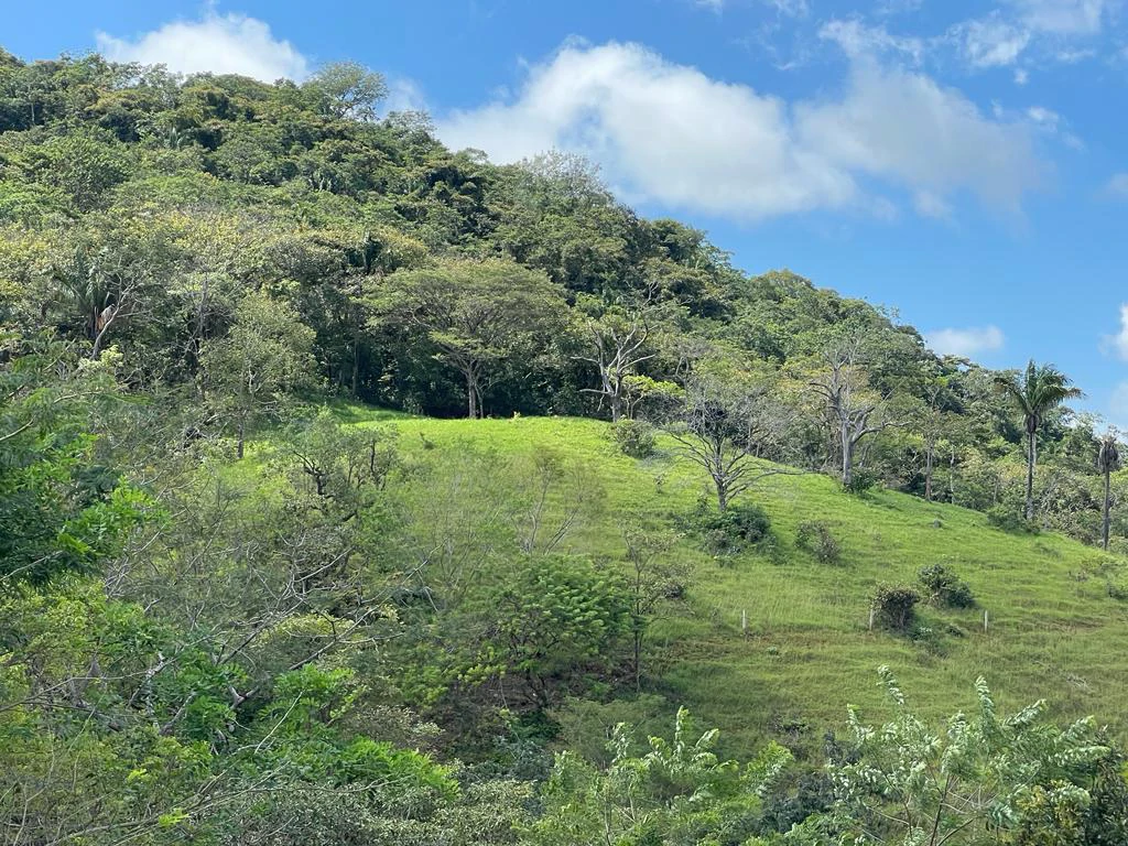 Beach and Mountain View House Guanacaste Costa Rica - Gallery image 14