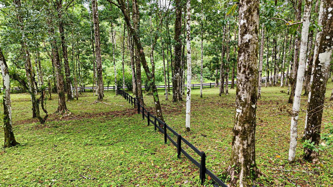 Finca Macadamia: 154-acre Rainforest Paradise with two Houses and Trails! - Gallery image 15