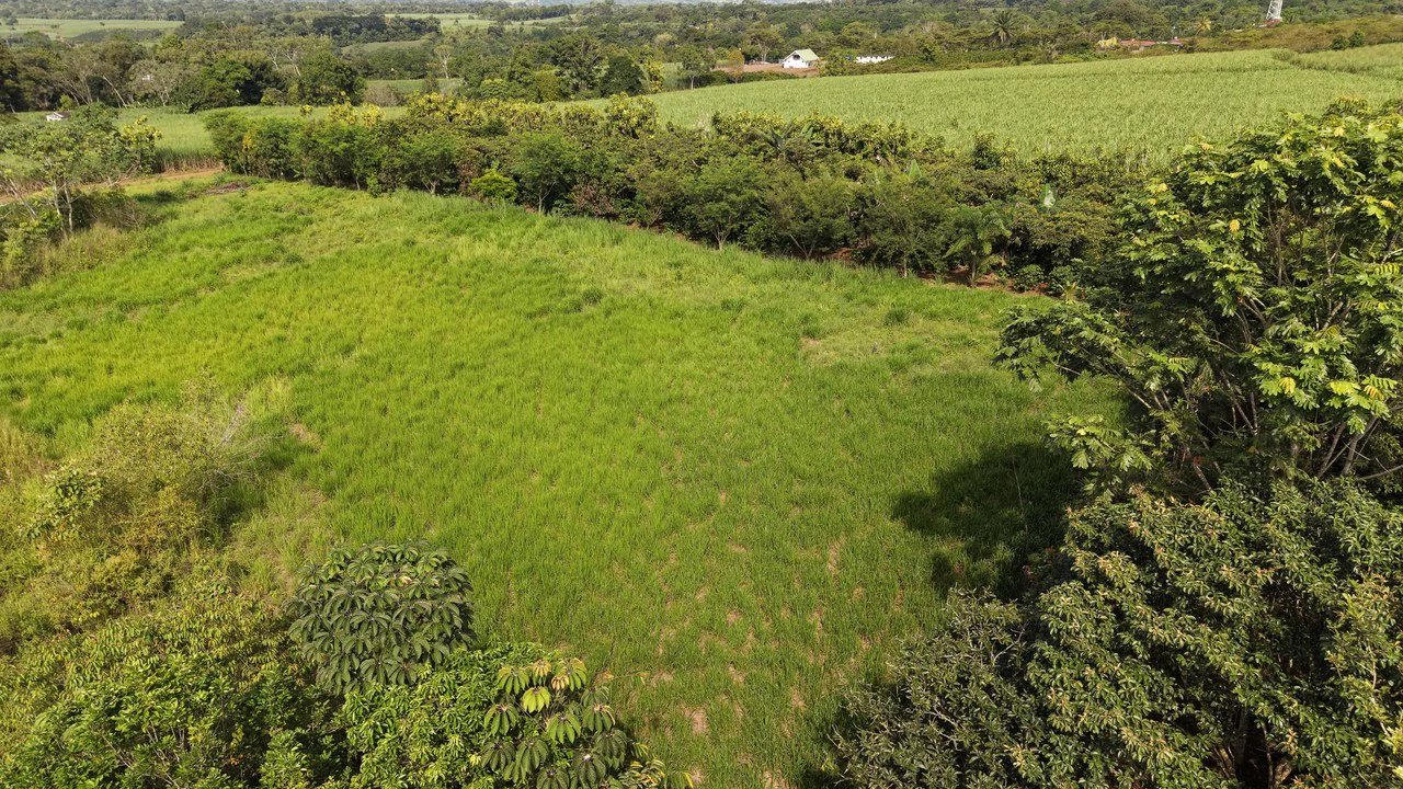 Home Construction Site For Sale in El Pilar - photo 9