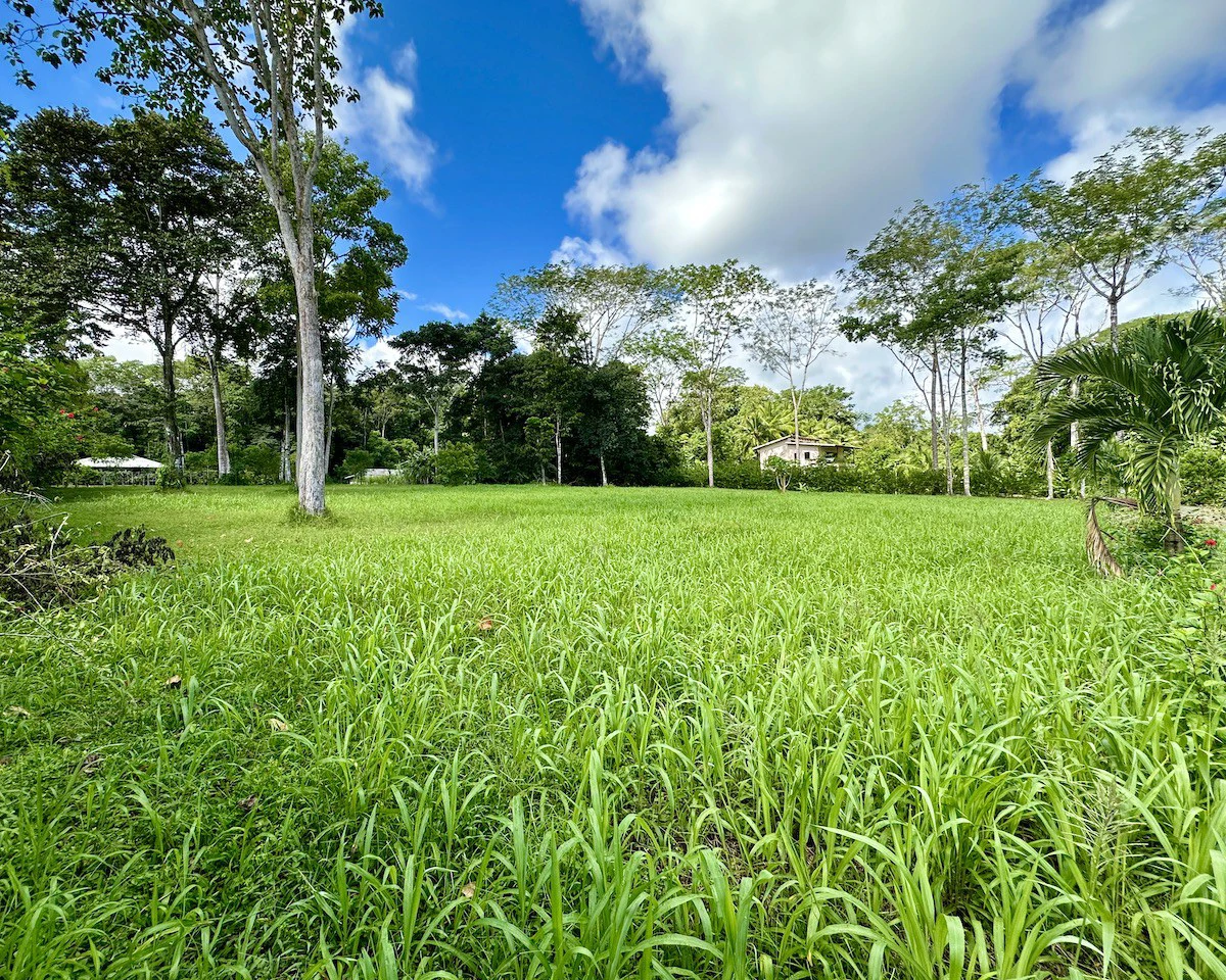 Ocean View Lot for Sale | Osa Peninsula | $120K (private community) - Gallery image 7