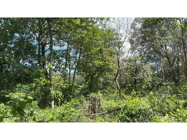 Building potential property for sale in Guadalupe, 5 minutes away from Liberia and 20 from the National Park of Rincon de la Vieja - Gallery image 2