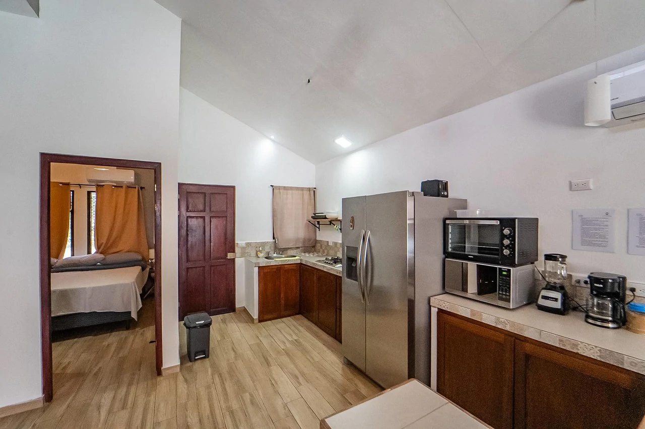 Casa León: Charming 3BR Home w Pool in Town - photo 10