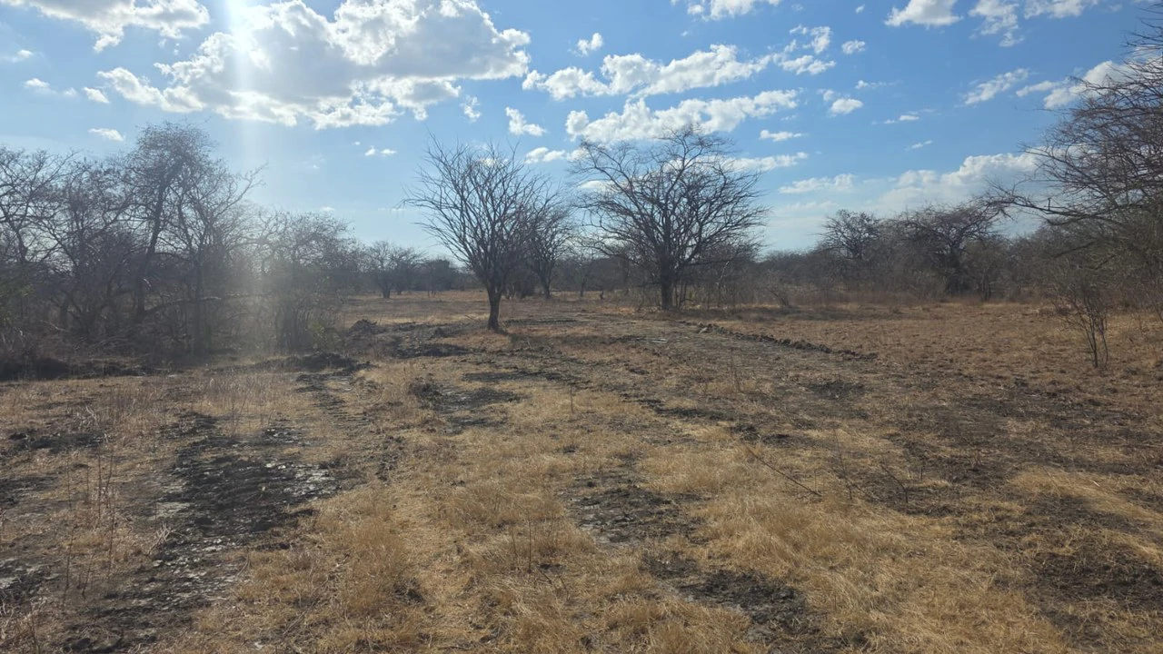 Huge Commercial Property Near Liberia Airport, Guanacaste, Costa Rica - Gallery image 5