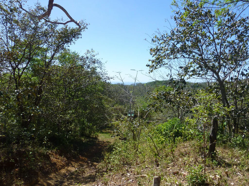 Ocean view farm for sale in the mountains of San Juanillo - Gallery image 24