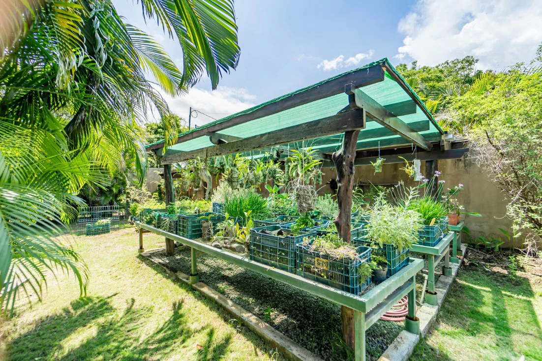 Rancho Deluxe - 2BR Ocean View Home plus Apt and Guest House: Countryside House For Sale in Sámara - Gallery image 5