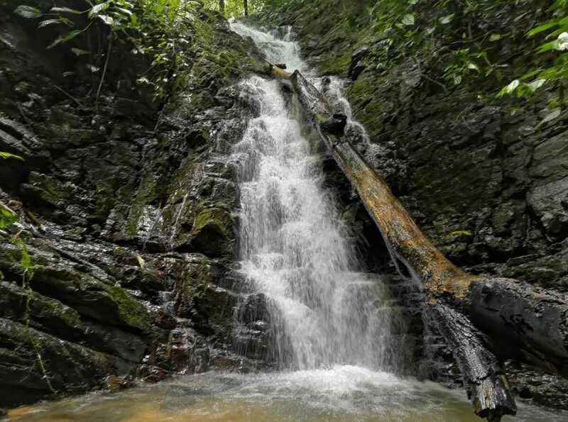 Finca Makambu: Countryside, Mountain, Near the Coast and Riverfront Property For Sale in Barú - Gallery image 30