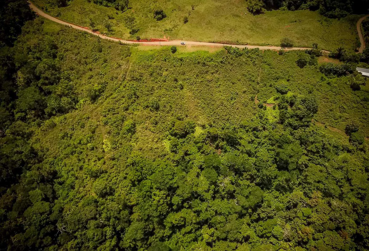 Sierpe Viewpoint on Main Route | San Juan de Sierpe, Puerto Jimenez - Gallery image 3