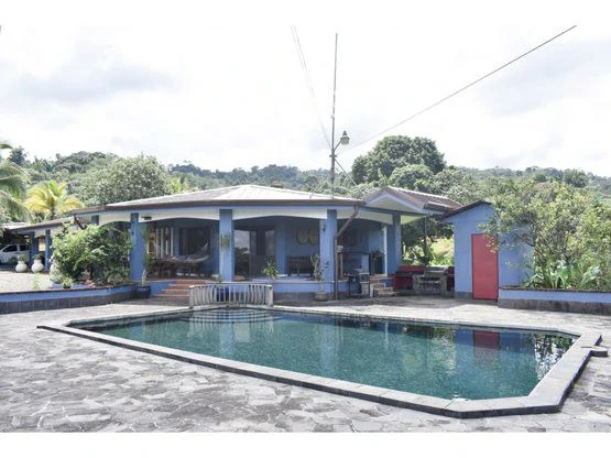 Serene Jungle Farm in Limon Province - Gallery image 36