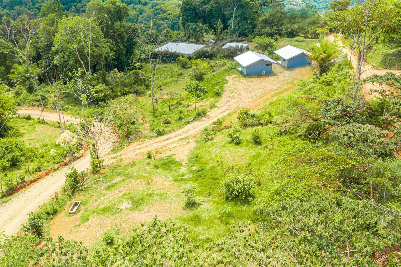 Mountain Mixed Use Building For Sale in Savegre - Gallery image 24