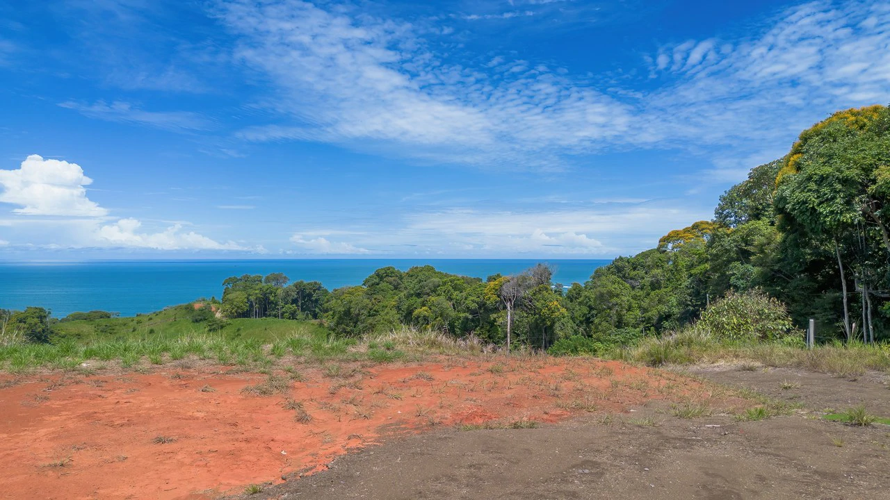 Luxury Ocean View Lot in Piñuelas - Premier Building Site - Gallery image 18