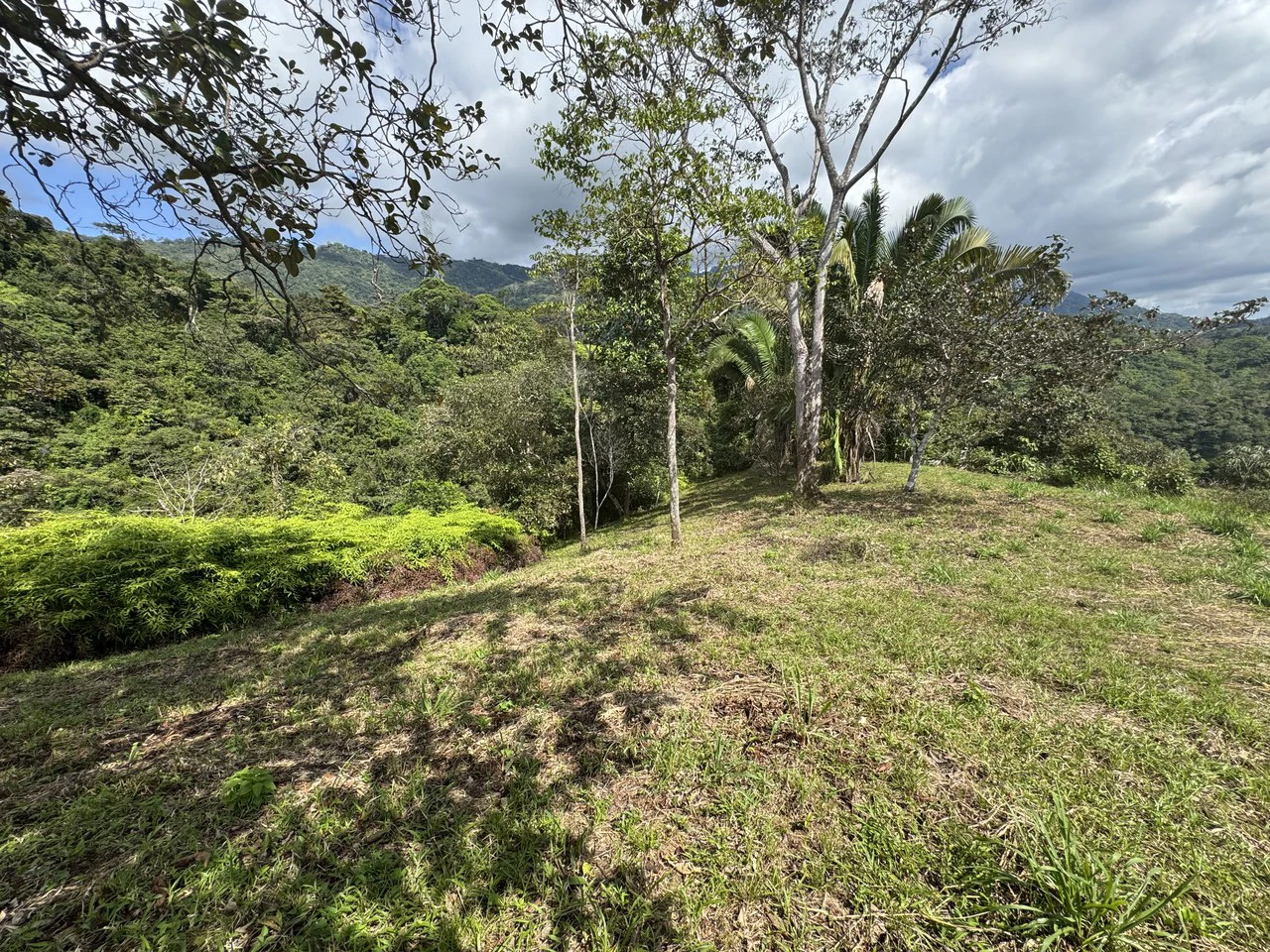 12 Acre Ocean View Farm in a Private Agricultural Community - Gallery image 8