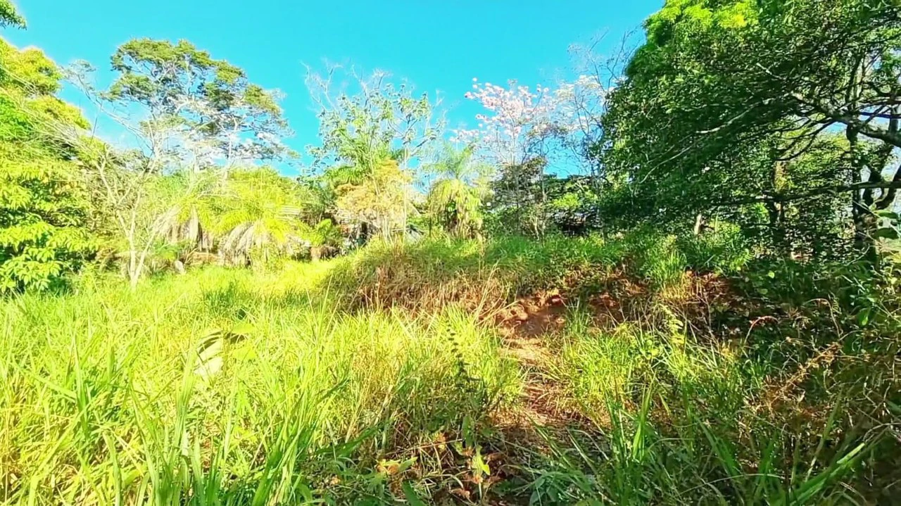 Lot for sale in Alegria Village: BEAUTIFUL LOT FOR SALE IN THE HEART OF ALEGRIA VILLAGE (10602 SQFT) - Gallery image 5