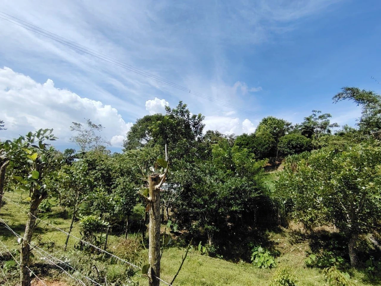Terreno en San Juan Bosco 1782m2: Mountain and Countryside Home Construction Site For Sale in Daniel Flores - Gallery image 3