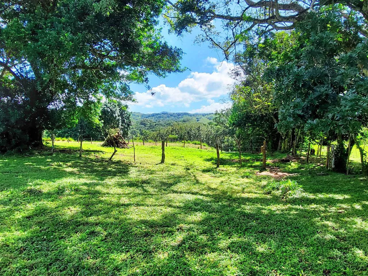LA CABAÑA - COUNTRY ESTATE WITH HUGE POTENTIAL - Gallery image 24