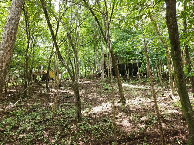 Nosara's Brand New Top Villas as a Business Opportunity in the dense forest of catchment area, 7 villas for sale in Costa Rica's Healthy Blue Zone - Gallery image 7
