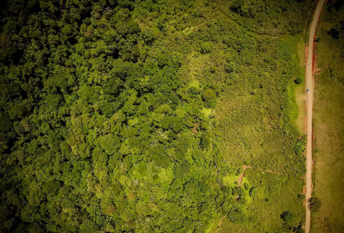 Sierpe Viewpoint on Main Route | San Juan de Sierpe, Puerto Jimenez - Gallery image 4