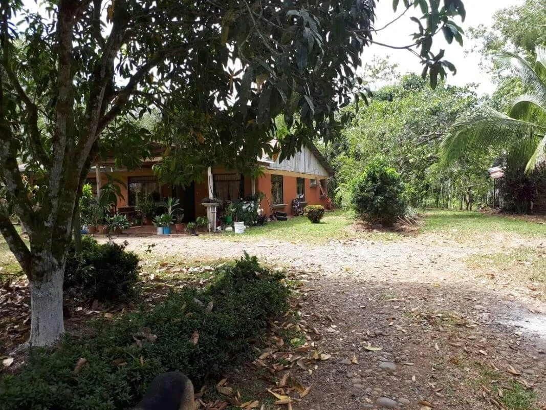 land for sale Alajuela San Carlos Pocosol Santa Maria Santa Rosa - Gallery image 2