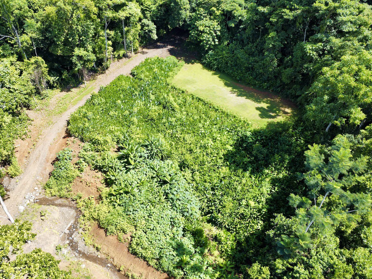 Spectacular Coastal Rainforest Estate Property - Gallery image 16