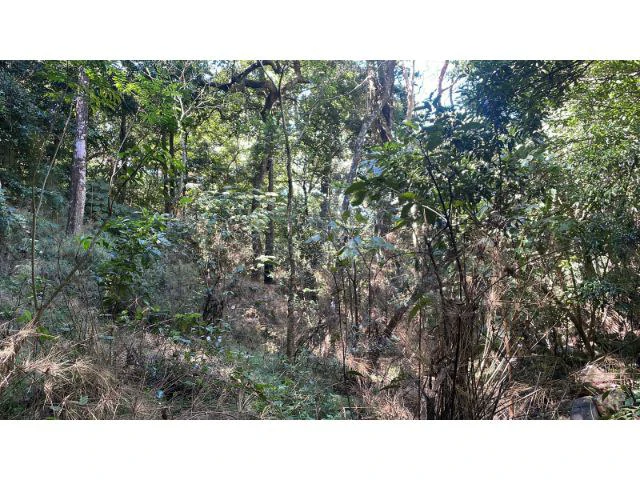 Nature Paradise Farm for sale in the mountains of Quebrada Grande, Building potential property 30 minutes away from Liberia - Gallery image 18