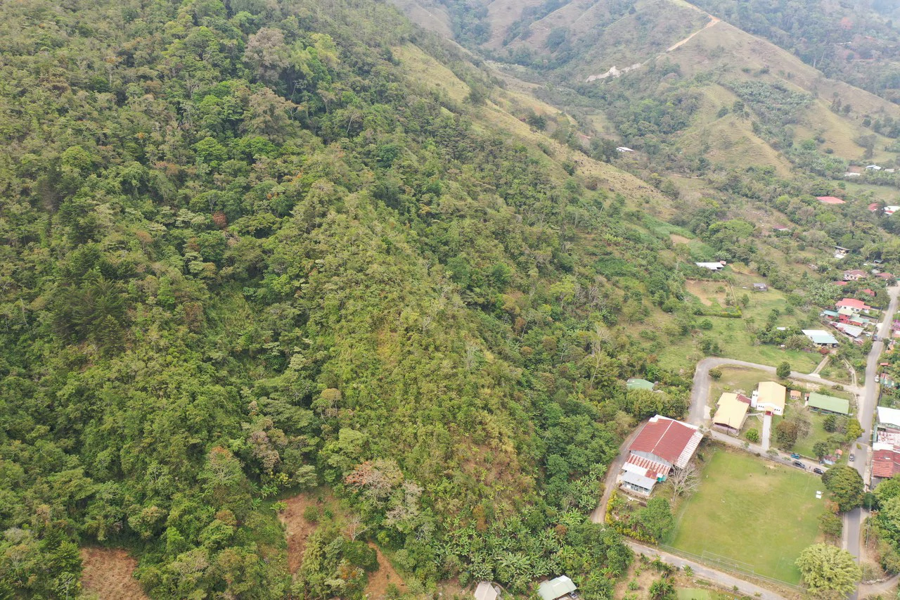Canaan de Rivas 10 acres Above San Isidro - Gallery image 14