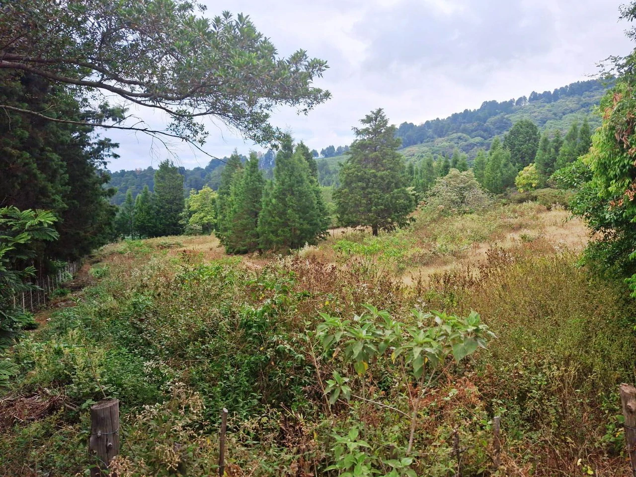 Home...Airbnb...or Hotel? Gorgeous Flat Lot Tucked Away in Nature! - Gallery image 2