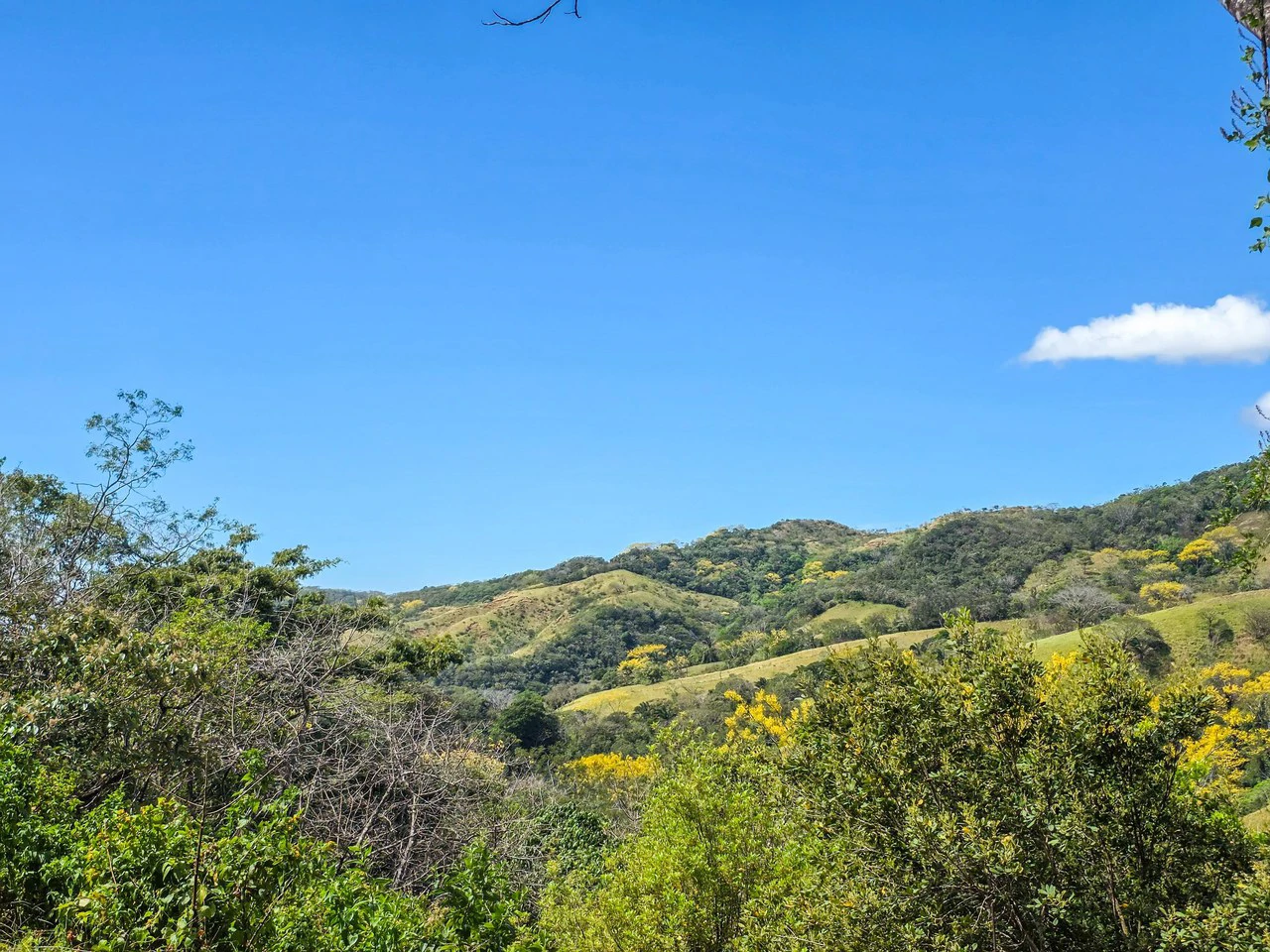 Mountain and Partial Ocean View Lot With Building Permits Approved - Gallery image 3