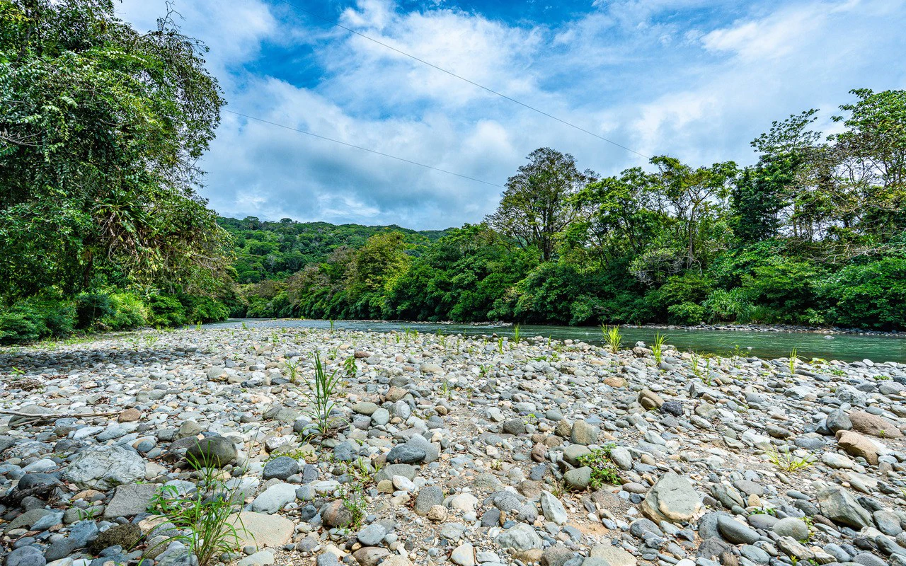 Riverfront Baru Estate Luxury Oasis Walkable to Playa Dominical - Gallery image 33