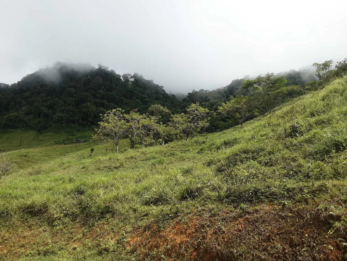 Finca Tesoro Escondido - The Jewel of Uvita - Gallery image 43