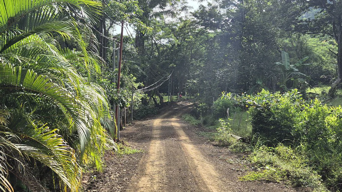 LOTE SERENIDAD: Beautiful 3,554 m² (0.89 Acre) Lot in Peaceful Estrada, Just 10 Minutes from Carillo Beach - Gallery image 10