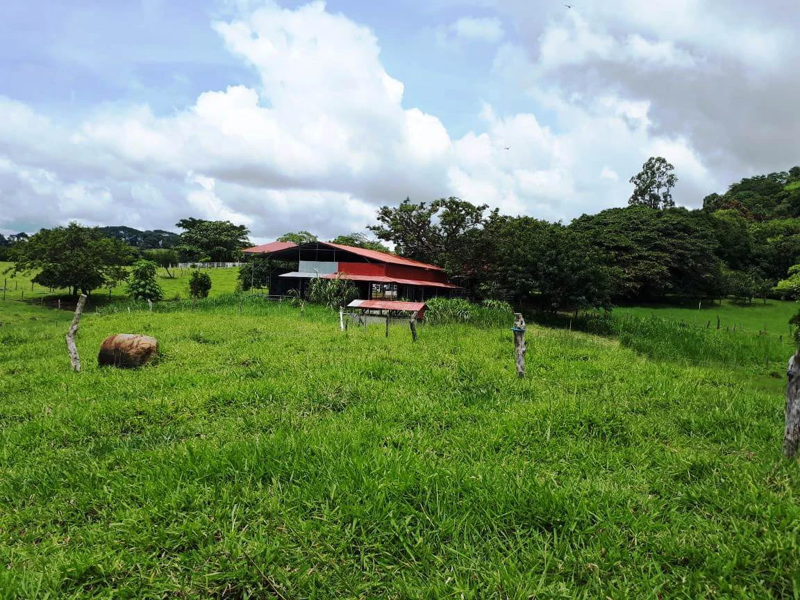 HACIENDA LOMBARDIA : Fully Operating Livestock Business - Gallery image 12