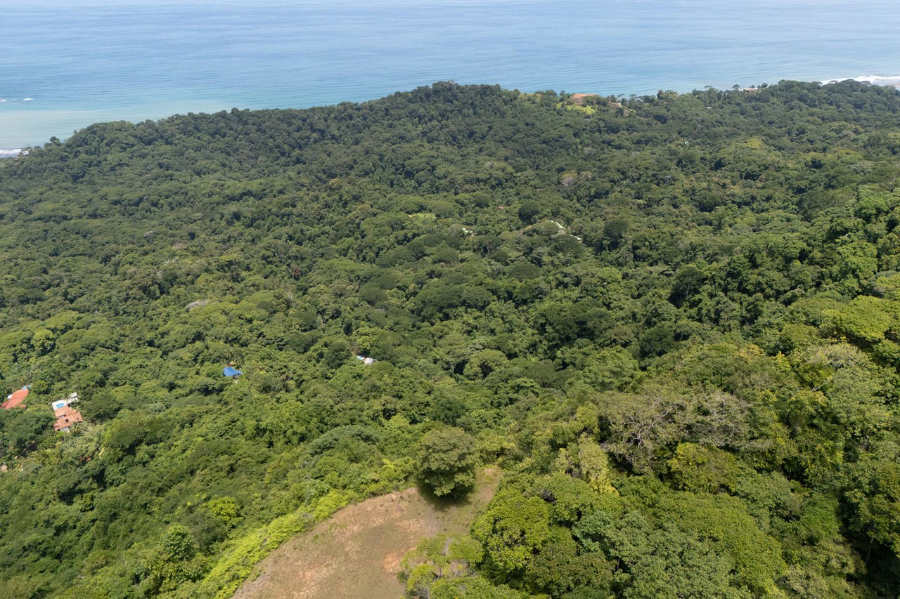 Near the Coast Home Construction Site For Sale in Dominical - Gallery image 18