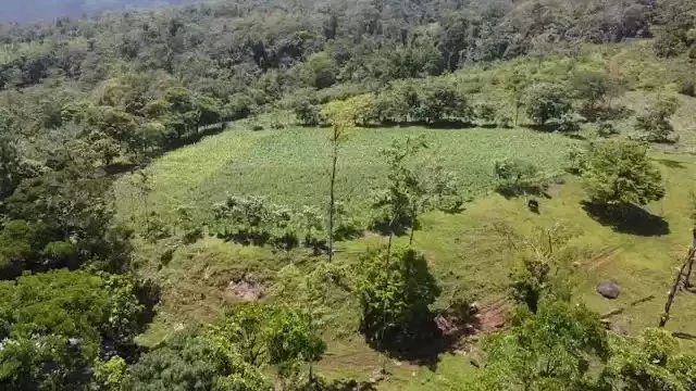The farm is sold in Alajuela - Gallery image 9