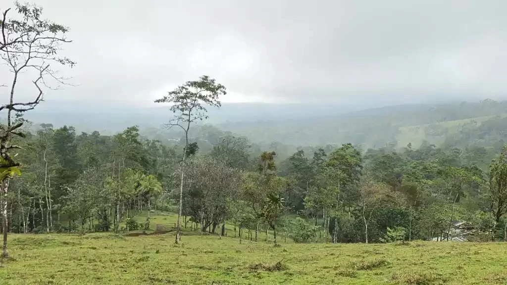 The farm is sold in Alajuela - Gallery image 6
