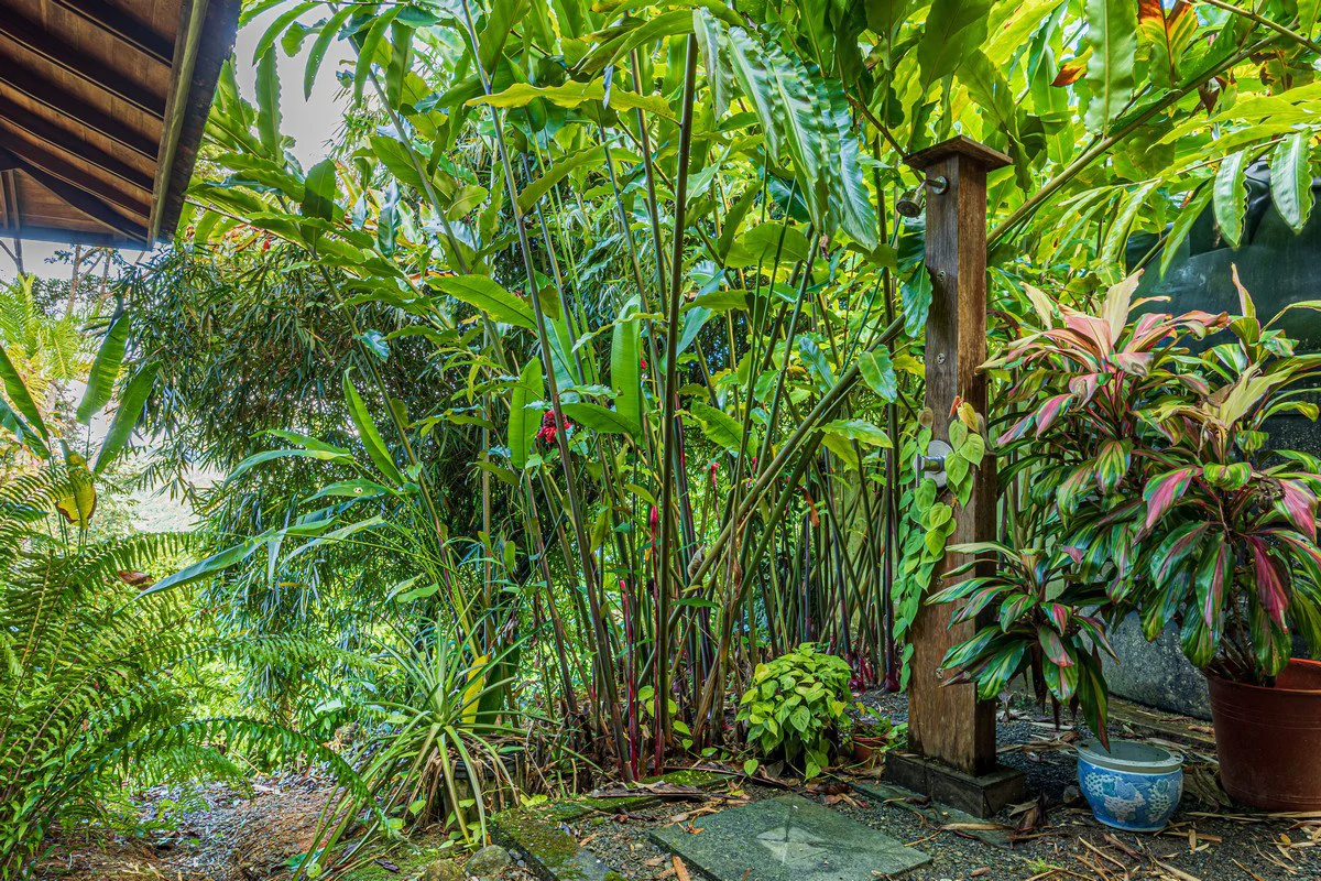 1.37 ACRES – 2 Bedroom Bali Style Home With Pool And THE BEST Ocean View!!!!! - Gallery image 14