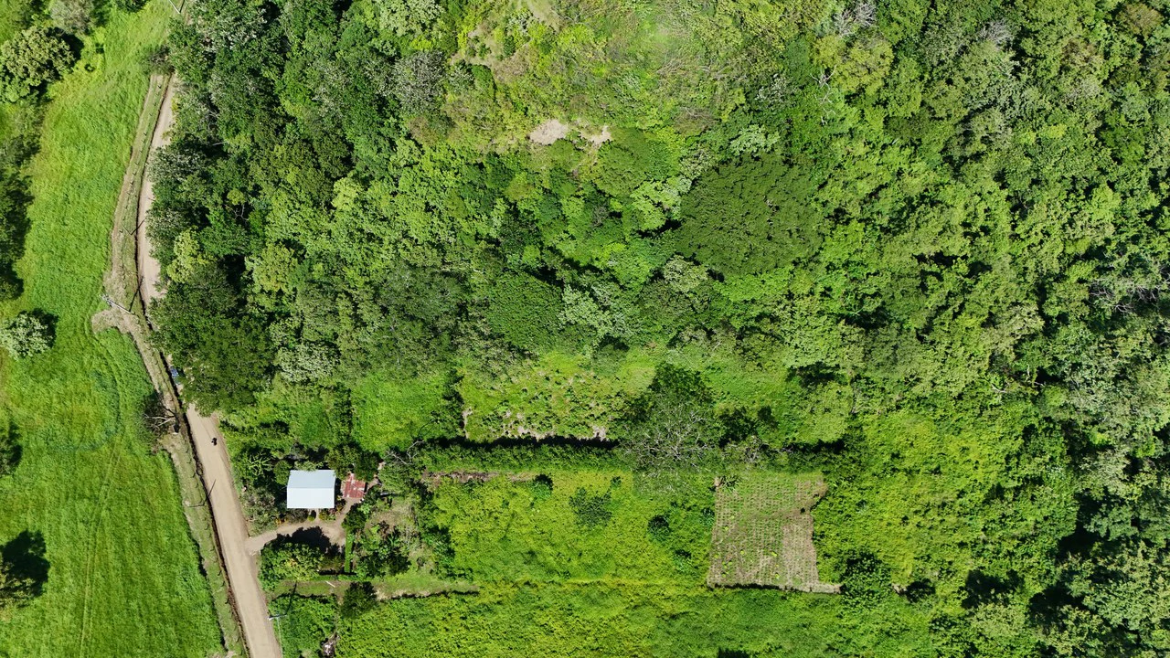 500 m² Lot in Salinitas: 6 Minutes to Playa Grande - photo 7