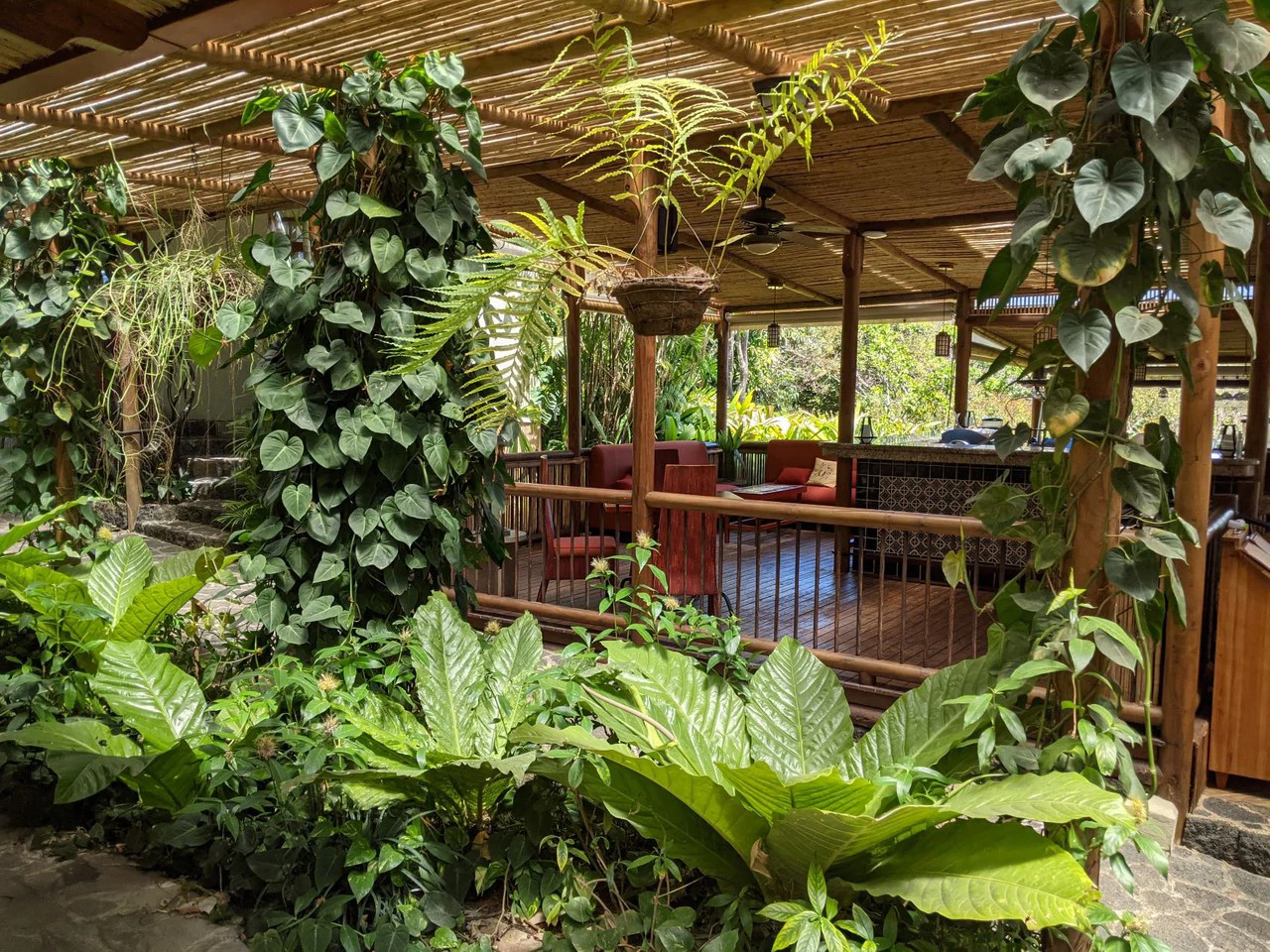 Coffee Estate and Boutique Hotel: Costa Rica’s Premier Eco-Luxury Organic Coffee Estate & Boutique Hotel - Gallery image 28