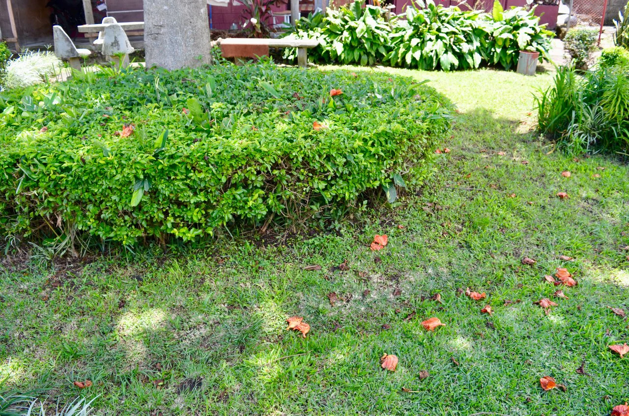 COMERCIAL LOT FOR SALE IN HEREDIA SAN FRANCISCO - Gallery image 6