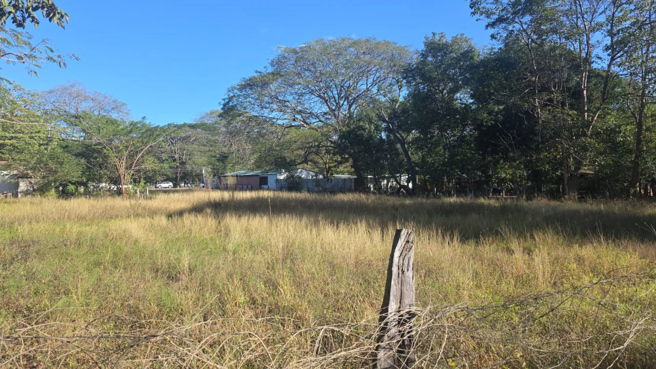 3 Commercial lots for sale in Artola with 70 m of public road frontage - Gallery image 2
